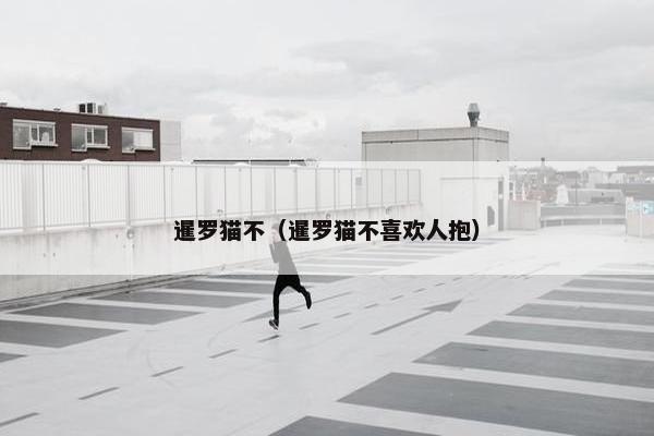 暹罗猫不（暹罗猫不喜欢人抱）