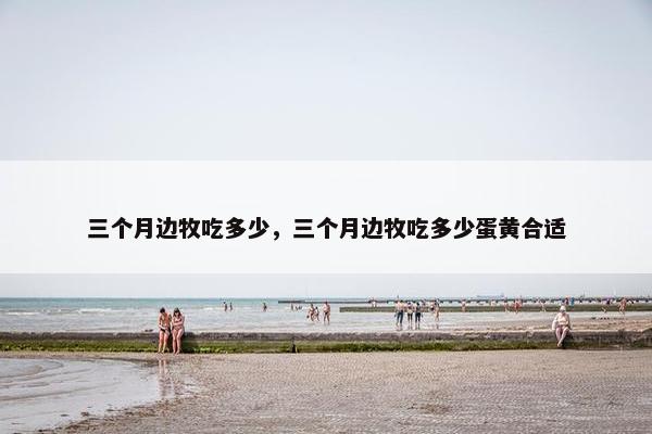 三个月边牧吃多少，三个月边牧吃多少蛋黄合适