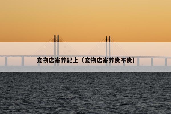 宠物店寄养配上（宠物店寄养贵不贵）