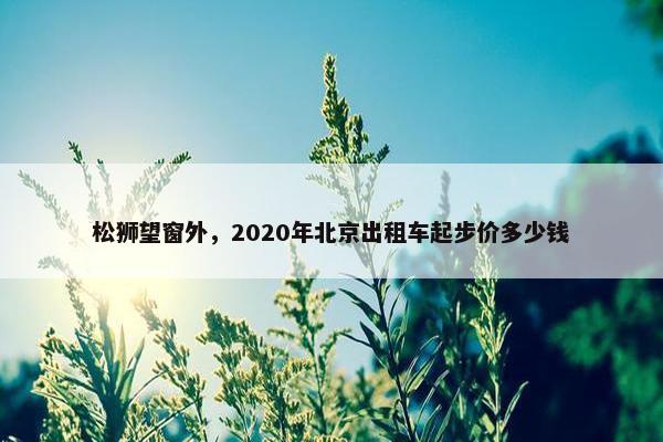 松狮望窗外，2020年北京出租车起步价多少钱