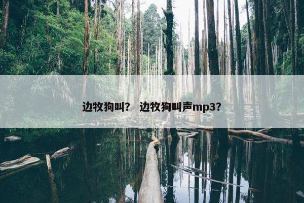 边牧狗叫？ 边牧狗叫声mp3？