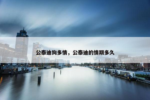 公泰迪狗多情，公泰迪的情期多久