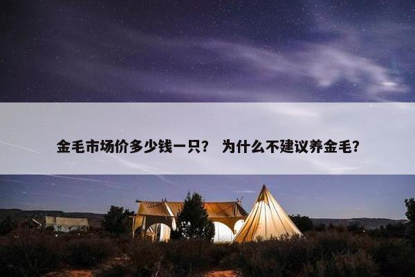 金毛市场价多少钱一只？ 为什么不建议养金毛？