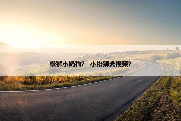 松狮小奶狗？ 小松狮犬视频？