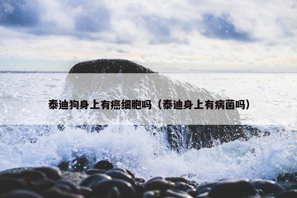 泰迪狗身上有癌细胞吗（泰迪身上有病菌吗）