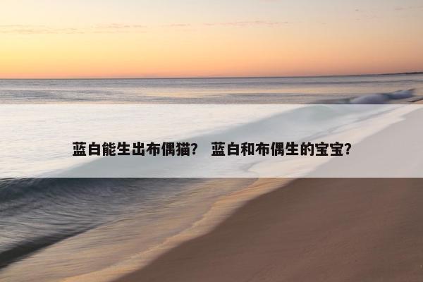 蓝白能生出布偶猫？ 蓝白和布偶生的宝宝？