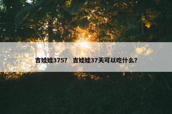 吉娃娃375？ 吉娃娃37天可以吃什么？