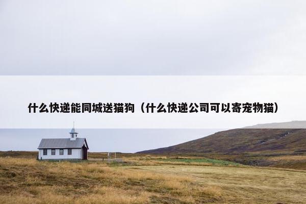 什么快递能同城送猫狗（什么快递公司可以寄宠物猫）