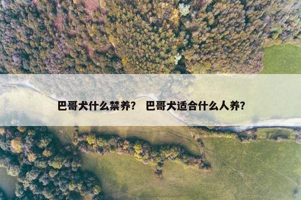 巴哥犬什么禁养？ 巴哥犬适合什么人养？