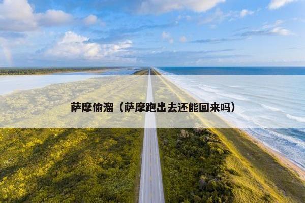 萨摩偷溜（萨摩跑出去还能回来吗）