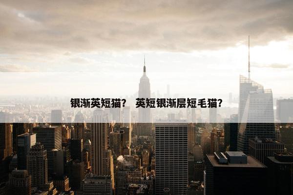 银渐英短猫？ 英短银渐层短毛猫？