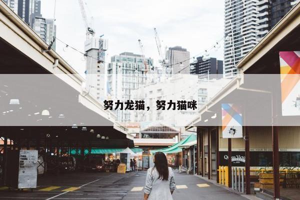 努力龙猫，努力猫咪