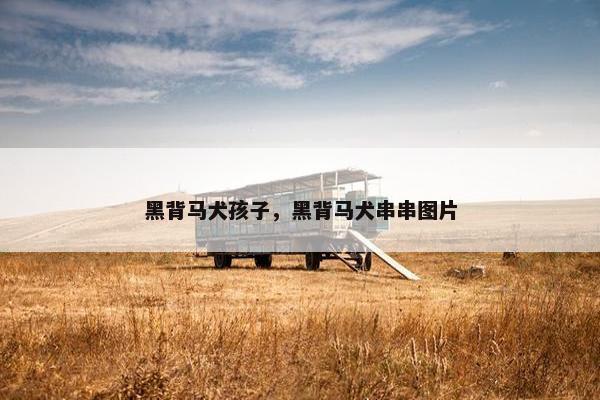 黑背马犬孩子，黑背马犬串串图片