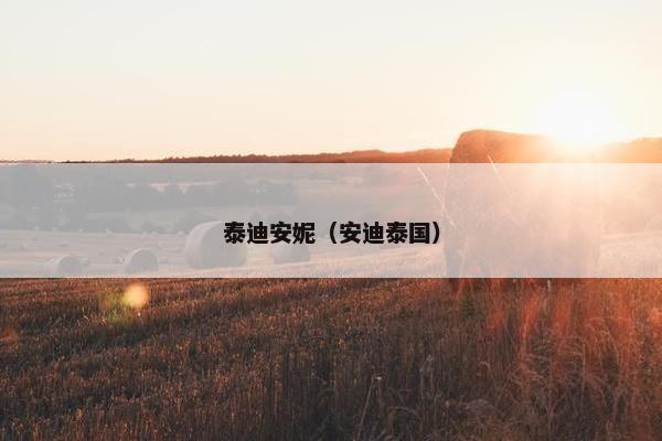 泰迪安妮（安迪泰国）