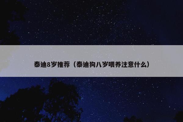 泰迪8岁推荐（泰迪狗八岁喂养注意什么）