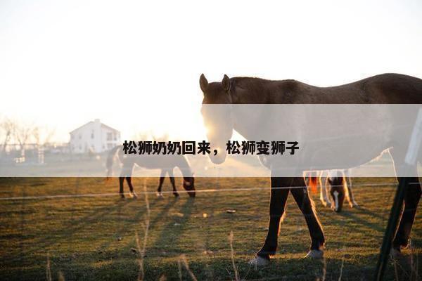 松狮奶奶回来，松狮变狮子