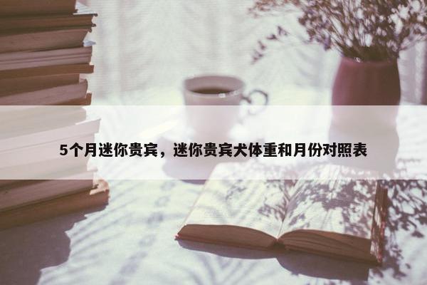 5个月迷你贵宾，迷你贵宾犬体重和月份对照表