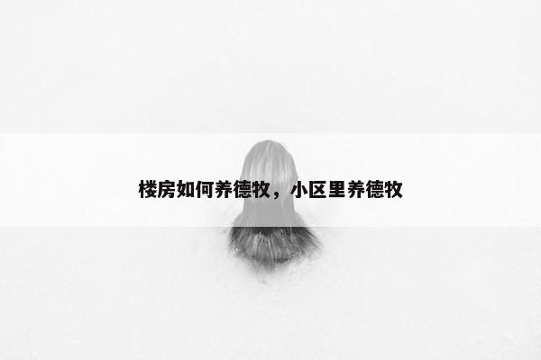 楼房如何养德牧，小区里养德牧