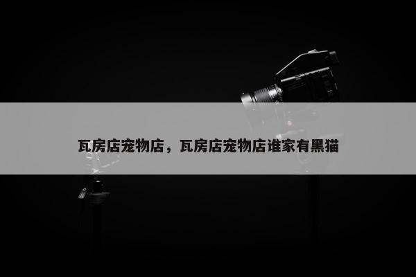 瓦房店宠物店，瓦房店宠物店谁家有黑猫