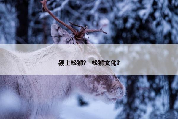 颍上松狮？ 松狮文化？