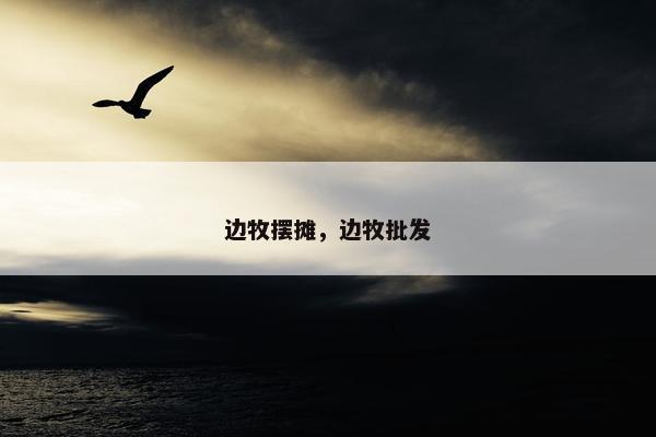 边牧摆摊，边牧批发