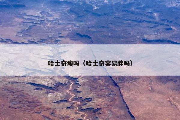 哈士奇瘦吗（哈士奇容易胖吗）