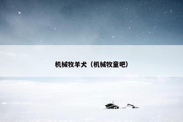 机械牧羊犬（机械牧童吧）