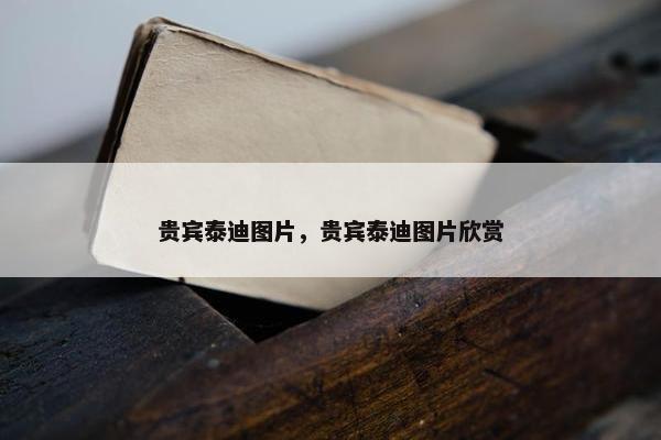 贵宾泰迪图片，贵宾泰迪图片欣赏