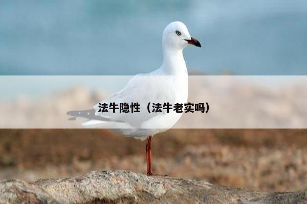 法牛隐性（法牛老实吗）
