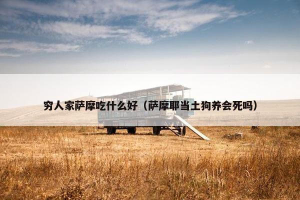 穷人家萨摩吃什么好（萨摩耶当土狗养会死吗）