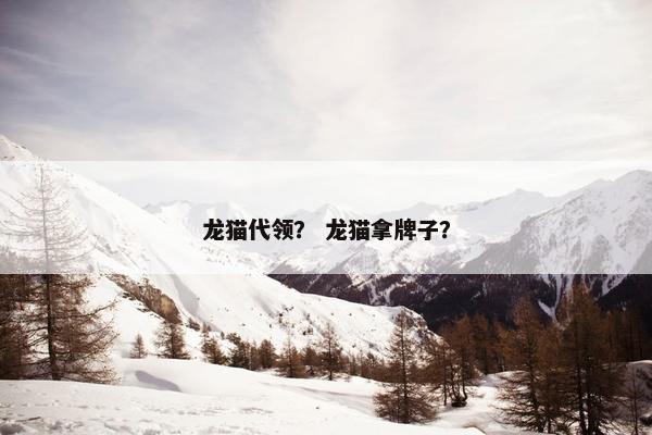 龙猫代领？ 龙猫拿牌子？