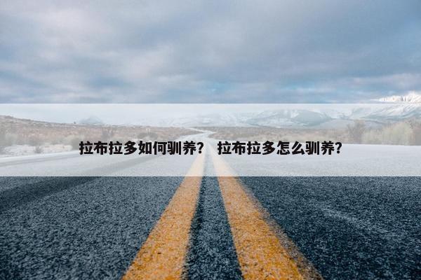 拉布拉多如何驯养？ 拉布拉多怎么驯养？