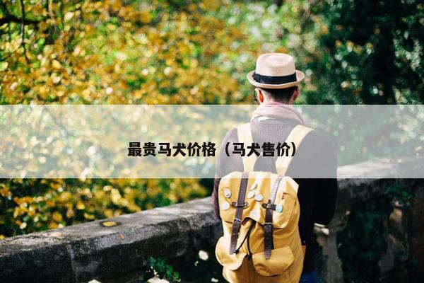 最贵马犬价格（马犬售价）