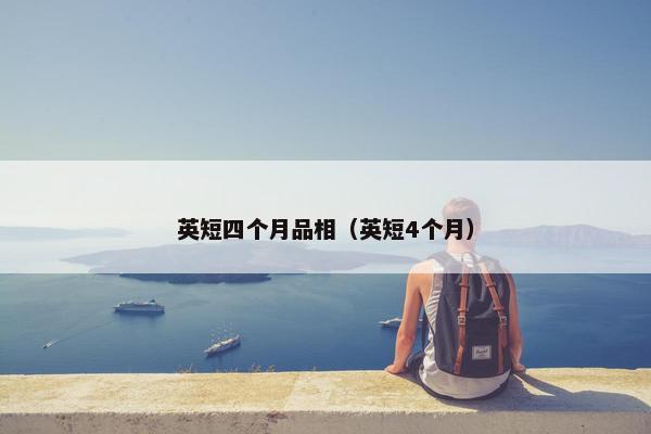 英短四个月品相（英短4个月）