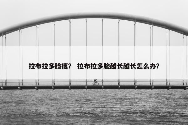 拉布拉多脸瘦？ 拉布拉多脸越长越长怎么办？