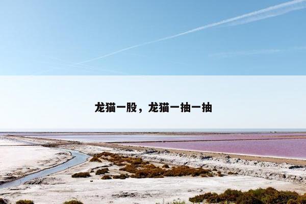 龙猫一股，龙猫一抽一抽