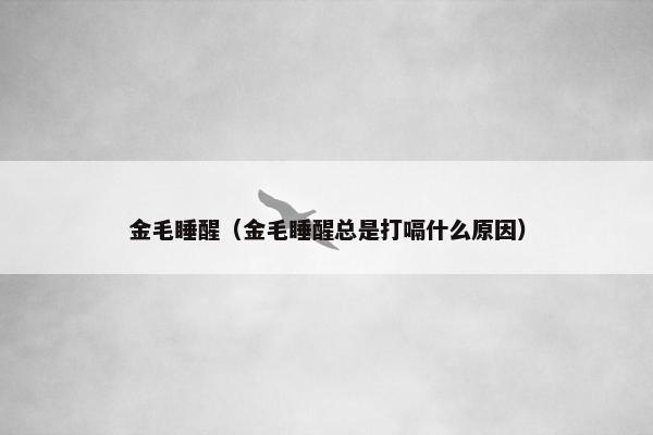 金毛睡醒（金毛睡醒总是打嗝什么原因）