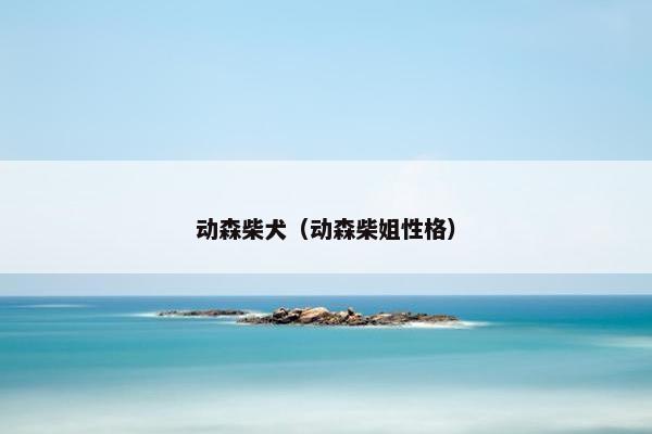 动森柴犬（动森柴姐性格）