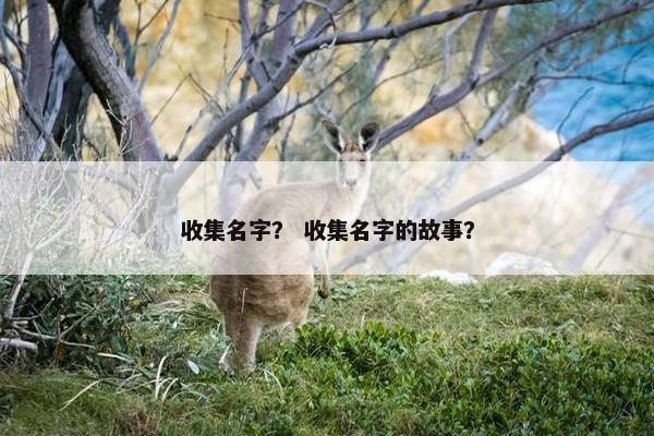 收集名字？ 收集名字的故事？