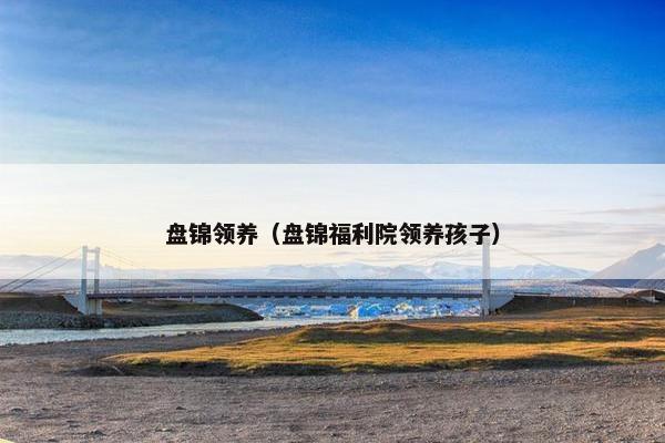 盘锦领养（盘锦福利院领养孩子）