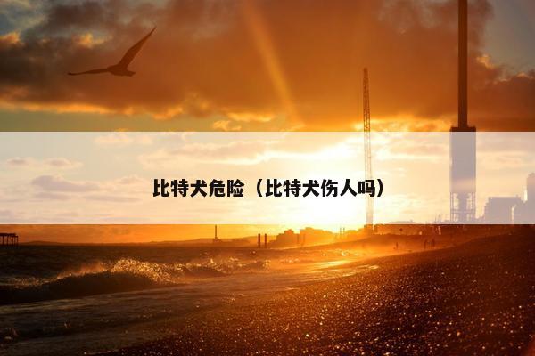 比特犬危险（比特犬伤人吗）