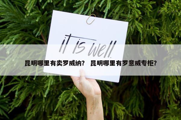 昆明哪里有卖罗威纳？ 昆明哪里有罗意威专柜？