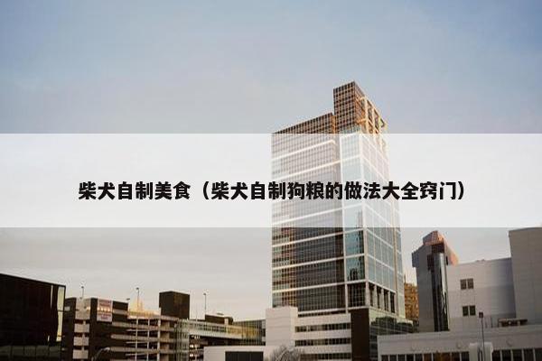 柴犬自制美食（柴犬自制狗粮的做法大全窍门）
