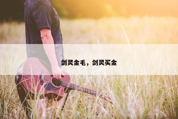 剑灵金毛，剑灵买金