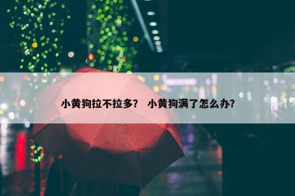 小黄狗拉不拉多？ 小黄狗满了怎么办？