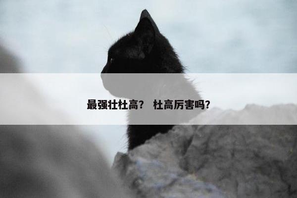 最强壮杜高？ 杜高厉害吗？