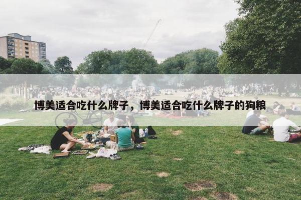 博美适合吃什么牌子，博美适合吃什么牌子的狗粮