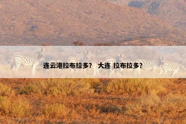 连云港拉布拉多？ 大连 拉布拉多？