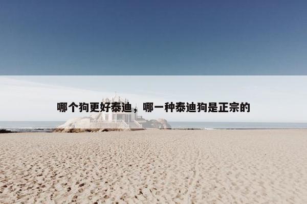 哪个狗更好泰迪，哪一种泰迪狗是正宗的