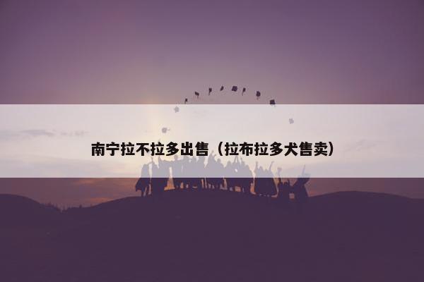 南宁拉不拉多出售（拉布拉多犬售卖）